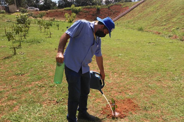 Na Semana da Água, Copasa promove plantio de mudas de árvores em cidades da região