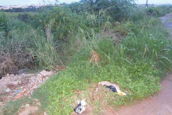 Terreno baldio tomado pelo mato e pela sujeira tira o sossego de moradores