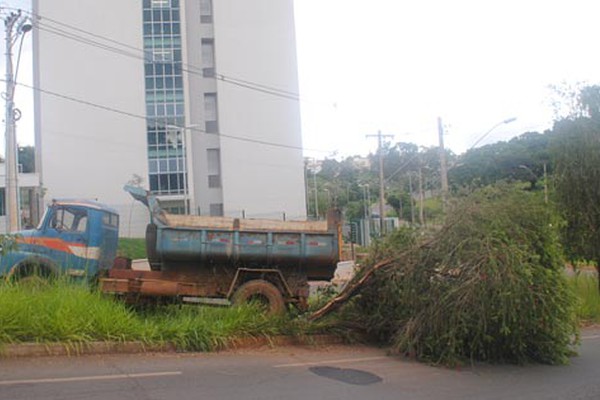 Caçamba carregada com areia volta em morro e derruba árvore perto do Novo Fórum