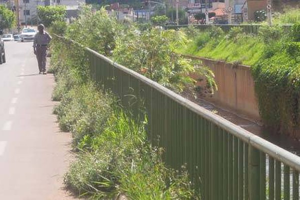 População pede providências para mato que toma conta de ruas e praças da cidade