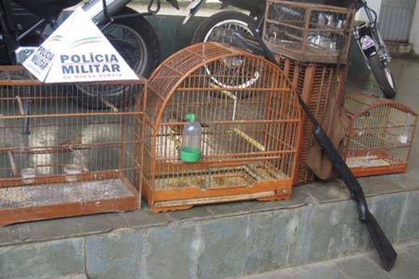 PM de Meio Ambiente apreende espingarda e pássaros da fauna silvestre em Aragão