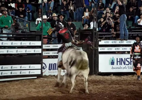 Touro pula rodando, mas peão se segura e vence o “filho da vaca” na 1ª montaria; veja ao vivo