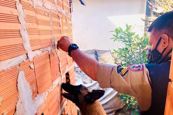 PM encontra droga e dinheiro no Distrito de Pântano e prende cinco por tráfico de drogas