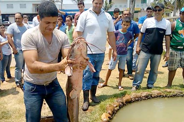 Lagoa que deu nome a Lagoa Grande seca e moradores lutam para salvar peixes