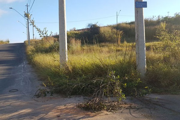 Mato alto toma conta de imóveis em Patos de Minas e moradores cobram providências