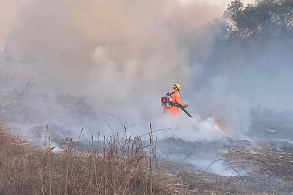 Faísca da rede elétrica pode ter causado incêndio que já destruiu cerca de 300 hectares de vegetação