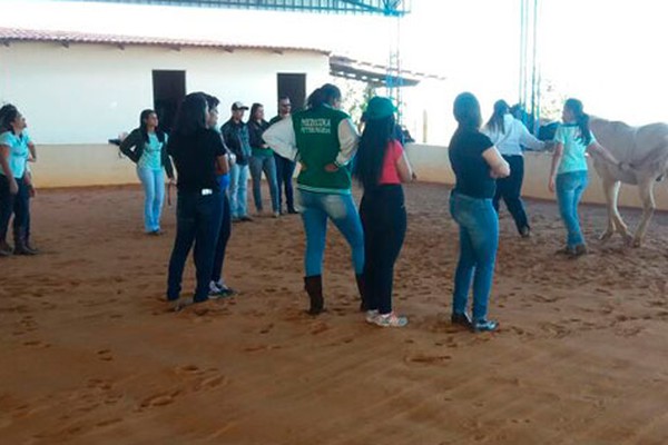 Alunos de veterinária da FPM encerram semestre com trabalho voluntário na equoterapia da Apae