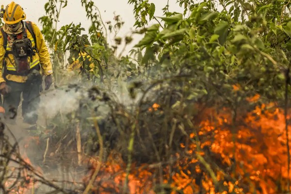 Brasil já registrou mais de 154 mil focos de calor este ano