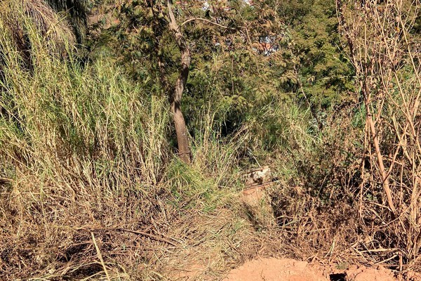 Caminhão desce ribanceira de cerca de 15 metros e motorista é resgatado pelos bombeiros
