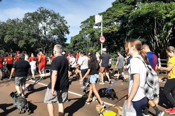 Voluntários promovem cãominhada em protesto contra o envenenamento de amimais em Patos de Minas