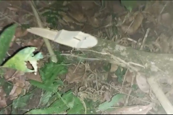 Moradores denunciam destruição de mata ciliar do Córrego “Buracão” na região de Areado