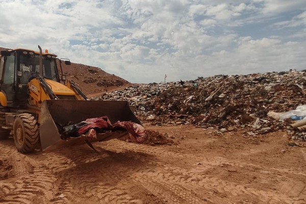 Carne de abate clandestino é apreendida e descartada pelo IMA; multa chega a R$ 453 mil