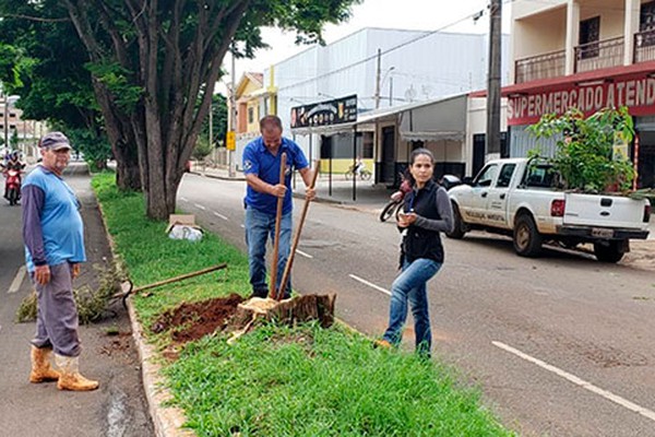 Após polêmica, engenheira ambiental explica o motivo do corte de árvores na av. Paranaíba