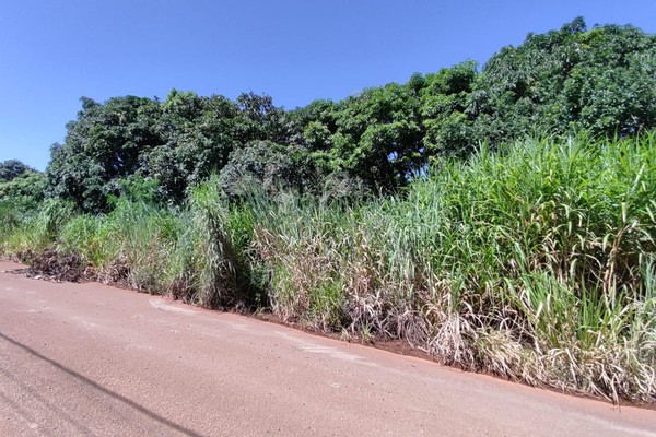 Moradores do Bairro Jardim Europa enumeram longa lista de problemas e pedem providências