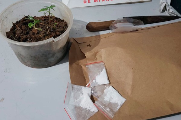 Operação Comandante Wesley tem 3 pessoas presas e, crack, cocaína e pés de maconha apreendidos