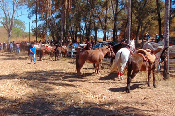 Cavalions 2018 acontece neste domingo e organizadores esperam público de 3 mil pessoas