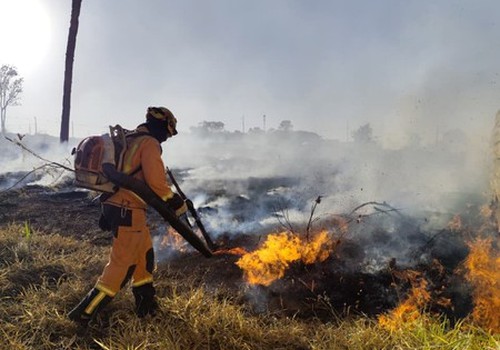 Incêndio de grandes proporções destrói 540 hectares de vegetação na região do Pântano