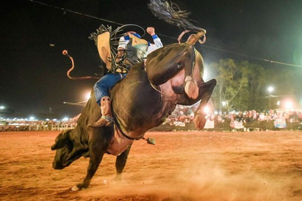 Evento gratuito e beneficente, Rodeio do Bem chega a sua quarta edição com programação especial