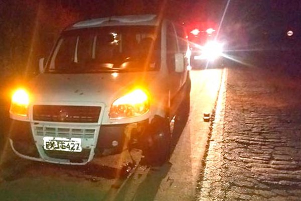 Égua acaba morta após ser atropelada por caminhão e ambulância com 6 pacientes na BR354