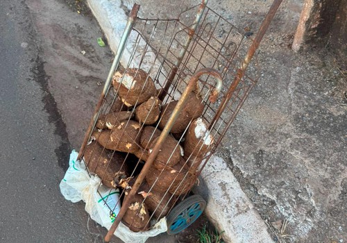 Suspeito de arremessar pedras em carros na av. Marabá é preso por furtar mandiocas em lote vago