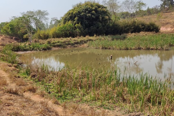 Morador denuncia retirada de água que está matando córrego na zona rural de Patos de Minas