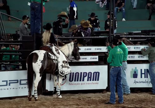 Peão se segura na 1ª montaria em cavalo e comemora com estrelinha; veja ao vivo