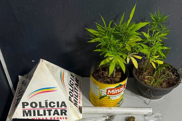 Polícia Militar prende dupla com pés de maconha, pinos de cocaína e simulacro de pistola