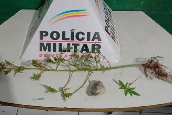 PM prende jovem com pé de maconha ao ser abordado em bairro nobre de Patos de Minas