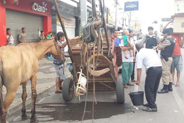 Égua derrapa na Major Gote e passageira fica ferida ao cair de carroça com criança no colo