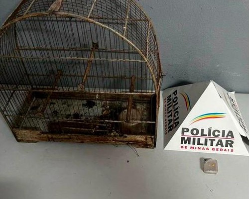 Morador encontra vazamento de água e descobre que cavalete e hidrômetro haviam sido furtados