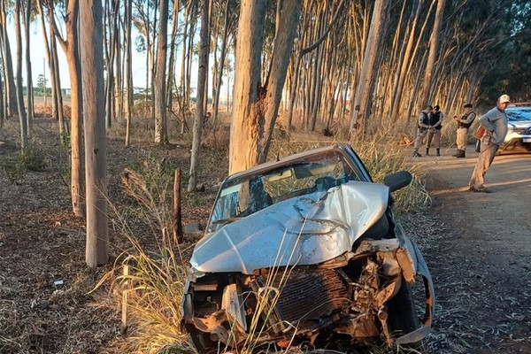 Motorista tenta desviar de caminhonete e vai parar em eucalipto na entrada de Carmo do Paranaíba