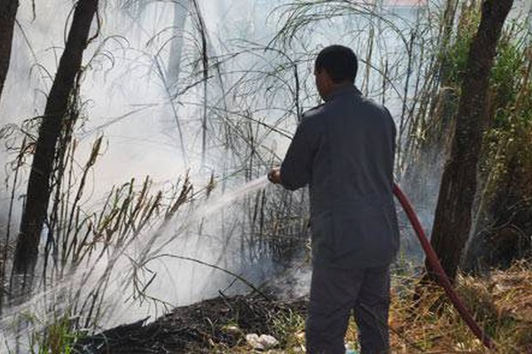 Queimadas assustam moradores e causam muitos prejuízos  em Patos de Minas