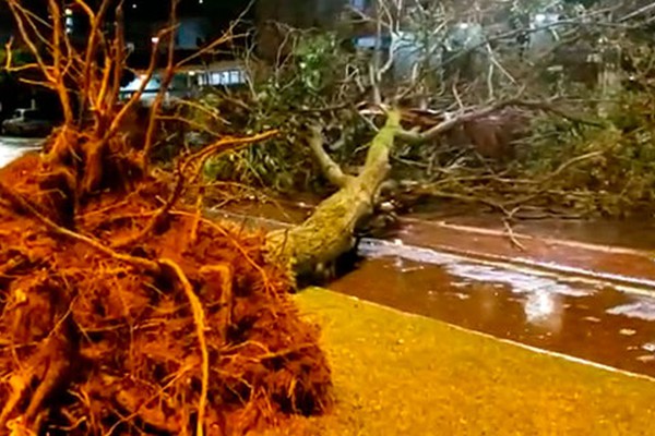 Temporal acompanhado de ventos e trovoadas causa estragos em Patos de Minas