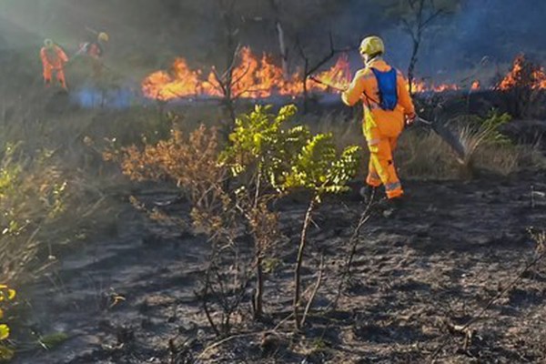 MPF e MP recomendam que PM e Bombeiros adotem medidas para identificar autores de incêndios criminosos em MG