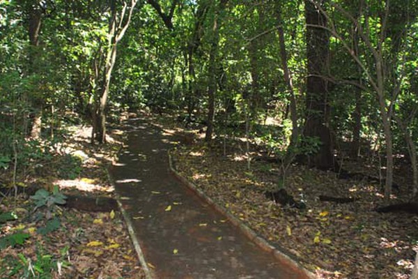 Bandidos armados rendem vigilante dentro do Parque do Mocambo e roubam arma de fogo