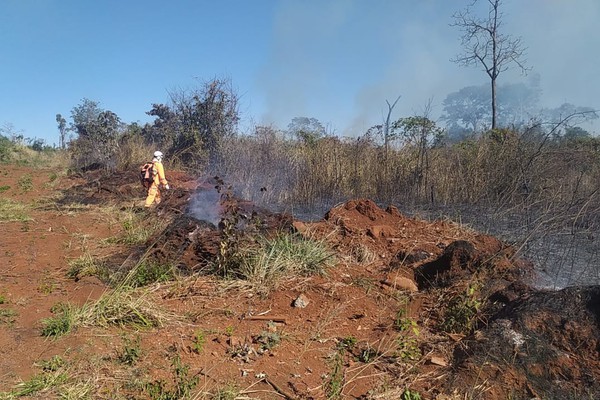 Homem põe fogo na Mata do Catingueiro e acaba preso em flagrante com fósforo na mão