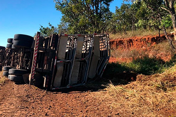 Motorista fica ferido após carreta carregada com suínos tombar na MGC 462 em Patrocínio