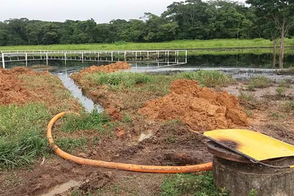 Haras tomado por esgoto de tubulação da Copasa é fiscalizado por membros de órgãos ambientais