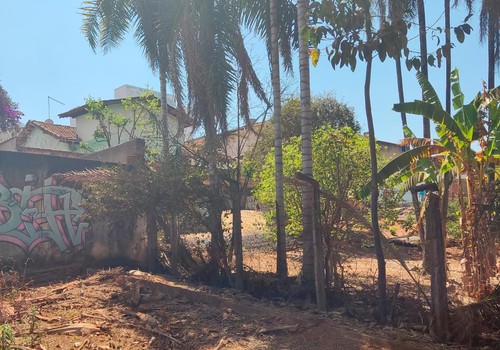 Diretor do Codema flagra invasão de área do Parque do Mocambo e cobra providências
