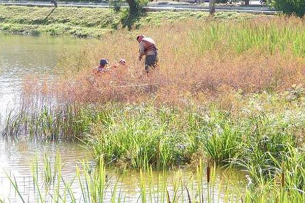 Após denúncia de descaso, Prefeitura inicia a limpeza da Lagoa Grande