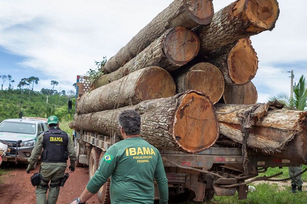 Ibama: Grupo vai fiscalizar fraudes em sistemas de controle florestal