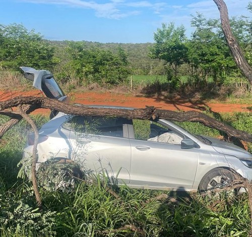 Condutora cochila ao volante e carro vai parar em árvore na MG 410