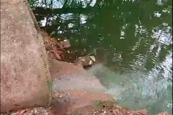 Esgoto escorre a céu aberto e vai parar dentro de lagoa no Parque do Mocambo