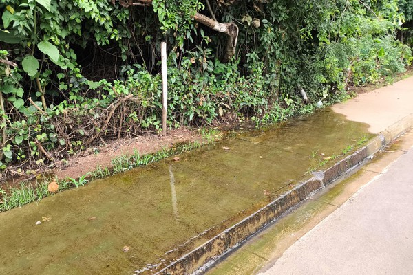 Esgoto escorre em meio a área de preservação permanente e encobre calçada ao lado do fórum