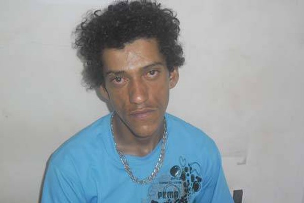 Cães mansos levam ladrões a depósito de veículos apreendidos e um é preso