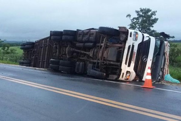 Motorista tenta se livrar de assaltantes e tomba carreta carregada com 70 cabeças de gado