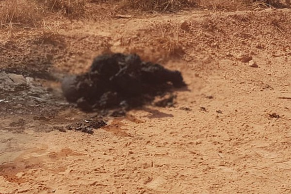 Sem identificação, corpo encontrado carbonizado será encaminhado para Belo Horizonte