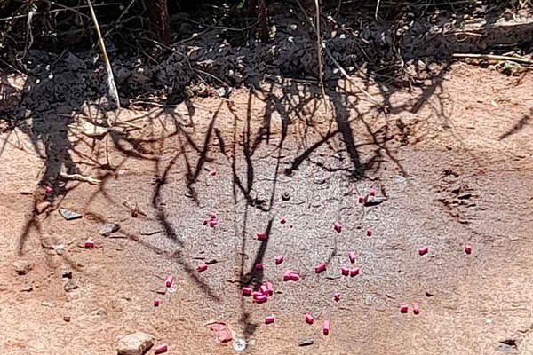 Morador encontra veneno espalhado em calçada e denuncia em Patos de Minas