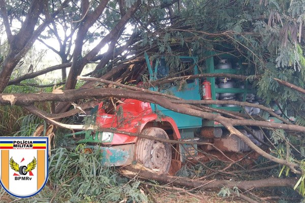 Caminhão de gás vai parar em árvores após volante travar e passageiro fica ferido na BR 352