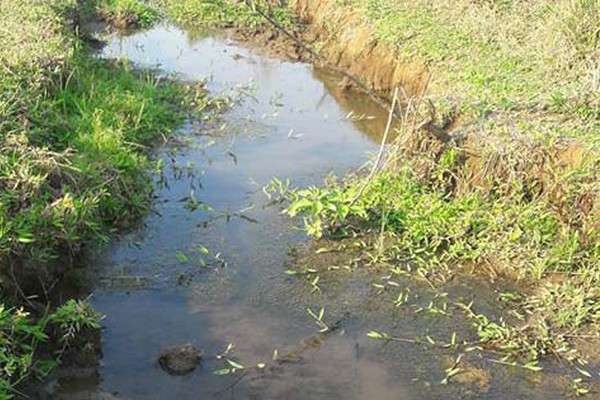 Moradores de Pindaíbas estão há dois dias sem água e cobram providência da Copasa